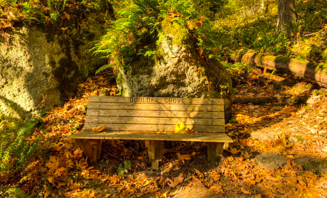 ../images/trails/terrace//08 Boulder Grove in the Fall.jpg